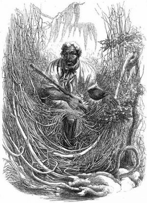 fugitive-maroon-300x413 osman